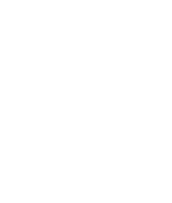 IPhR 1